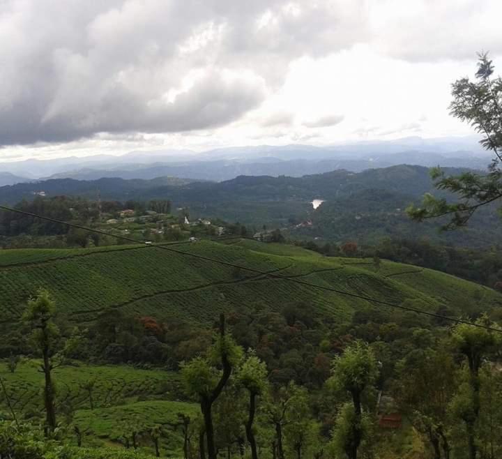 Munnar Lush Greens Exterior foto