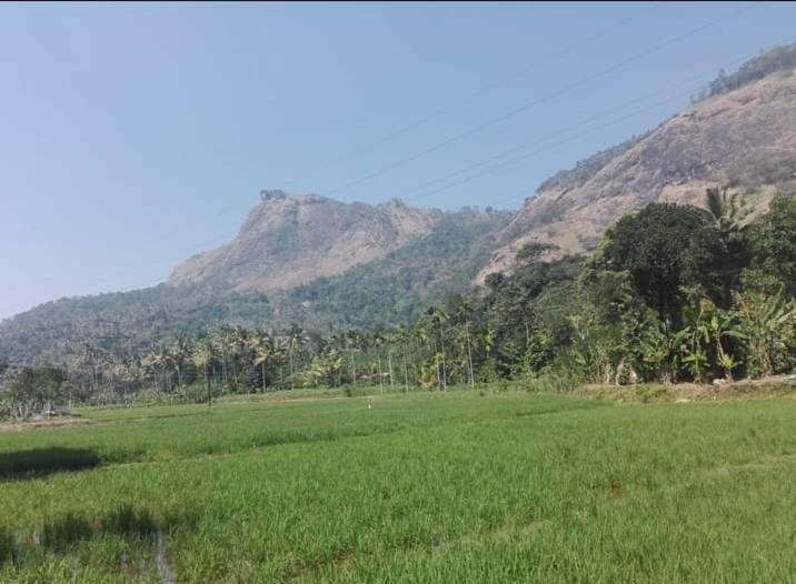 Munnar Lush Greens Exterior foto